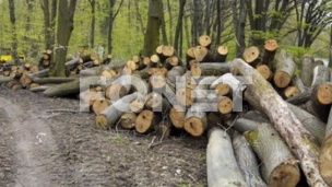 Loš sistem zbog osoba na vrhu
